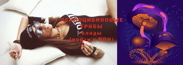 прущие крисы Алзамай