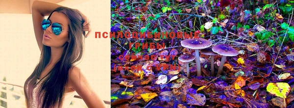 тгк Алексеевка