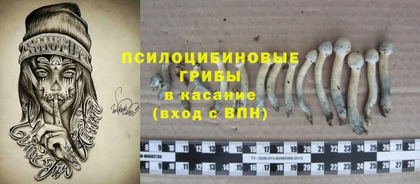 шишки Алексин