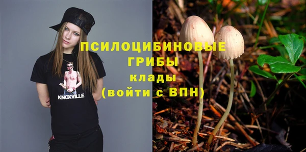 шишки Алексин