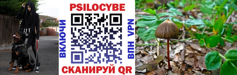 Псилоцибиновые грибы Psilocybe  shop состав  Сясьстрой  продажа наркотиков 